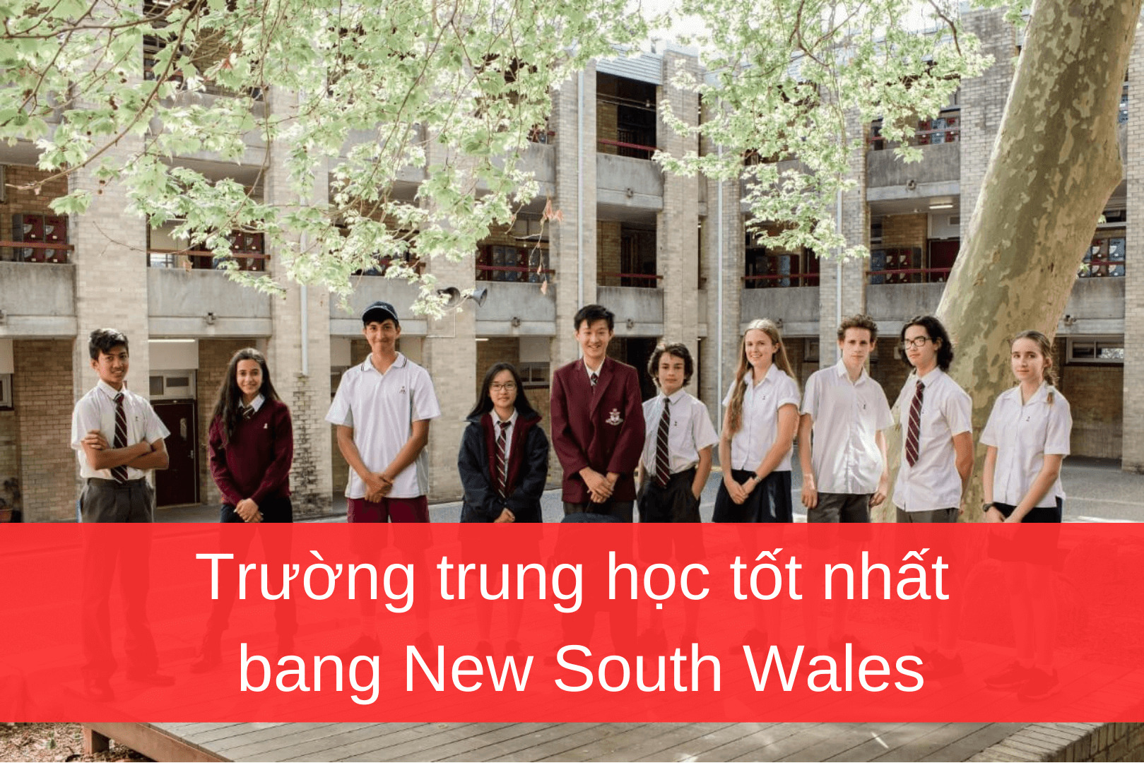 TOP 10 trường trung học bang New South Wales được đánh giá cao